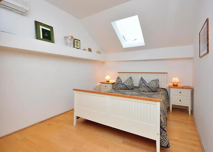 Drmate Milicica Vi *