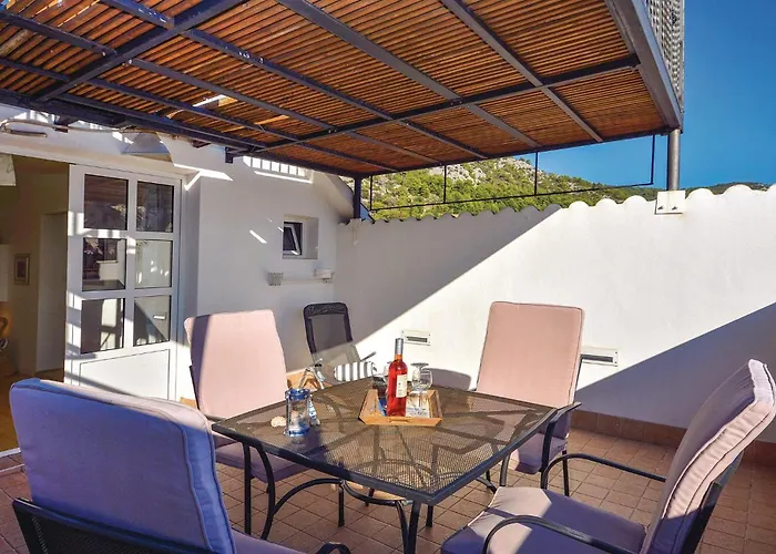 Drmate Milicica Vi *